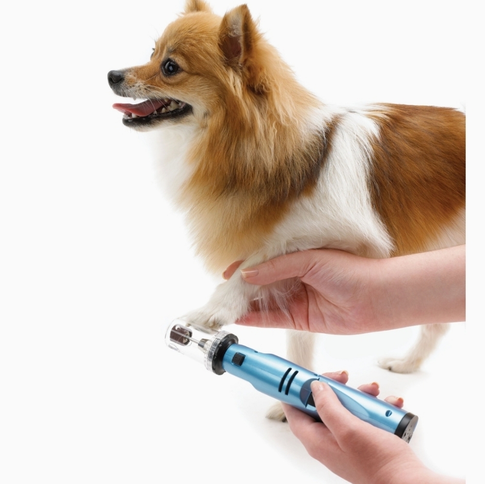 Oster Gentle Paws Less Stress - Picture 5 of 5